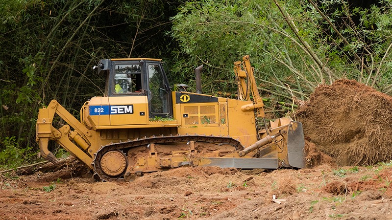 SEM machine working in forestry